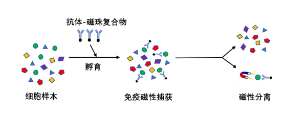 1679908831724972.png 08c754b7ef981c543815f92efab71d39.png