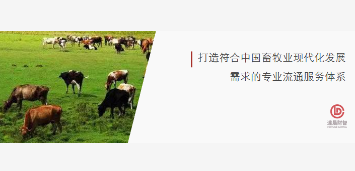 健安供應(yīng)鏈獲3000萬(wàn)美元B輪融資，加速構(gòu)建畜牧流通數(shù)字化服務(wù)平臺(tái) | 達(dá)晨Family